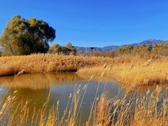 -野鸭湖国家湿地公园