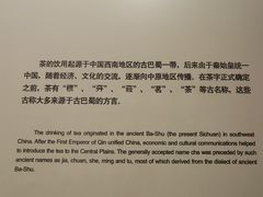 -中国茶叶博物馆(双峰馆区)