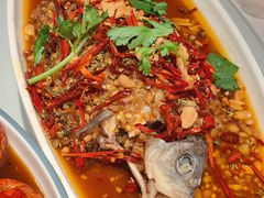 -杨氏青龙虾·羊蝎子(金盛路总店)