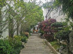 -香积寺