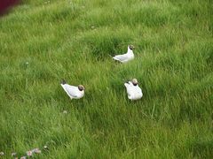-花湖生态旅游区
