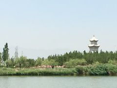 -阅海欢乐岛