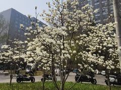 -老北京炸酱面大王.铜锅涮肉(朝阳门店)