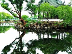 -无锡蠡湖国家湿地公园-蠡园