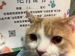 -守诺宠物医院·眼科· 特色牙科·异宠专科(虹口店)
