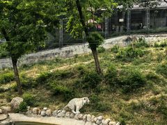 -石家庄市动物园