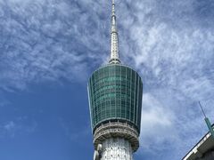 -梧桐山风景名胜区