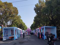 -高东镇樱花园