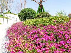 -西吴河科普公园