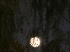 -滴水·湘逢(南汇大学城生活广场店)