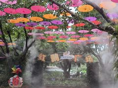 -广州长隆飞鸟乐园