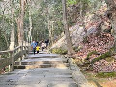 -普陀山风景区-佛顶山