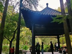 -东湖落雁景区