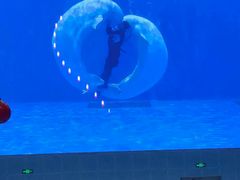 -石家庄极地海洋世界