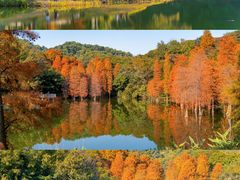 -广州市白云山风景名胜区
