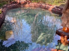 -苏州湾·王焰温泉