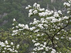 -华山风景名胜区
