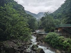 -西岭雪山大飞水景区