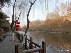 -环城公园