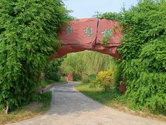 -武清南湖绿博园