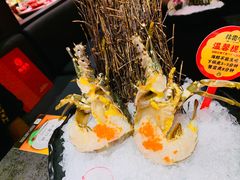 -降霜牛寿喜烧.和牛金赏Plus(501城市广场店)