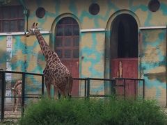 -辛玛王国游乐园