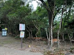 -奈良公园