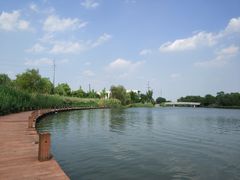 -九里河湿地公园