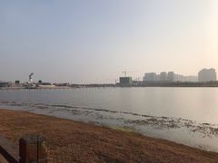 -九龙湖公园