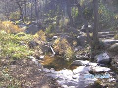 -鲁山国家森林公园