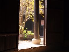 -鄞州雪菜博物馆