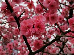 -白塘生态植物园