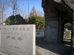 -上海佘山国家森林公园天马山园