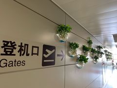 -西宁曹家堡国际机场-T2航站楼