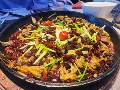 -老板恋上鱼(恒隆广场店)