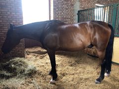 -酷鱼垂钓CLUB(朝阳区博大路店 )