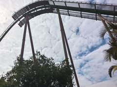 -珠海长隆海洋王国-鹦鹉过山车