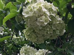 -杭州城北体育公园