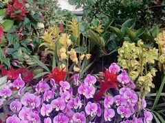 -北京植物园-展览温室