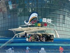 -海合安天津极地海洋公园
