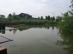 -宁波杭州湾国家湿地公园