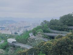 -福道