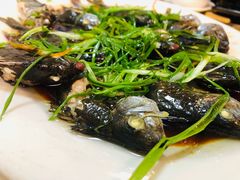 -金辉海鲜餐厅