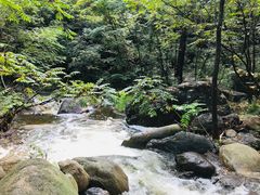 -云岫谷游猎自然风景区