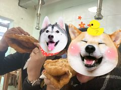 -黑窑厂糖油饼烤鸭·清真菜(黑窑厂街店)