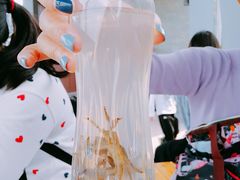 -野狸岛