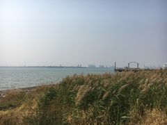 -东疆建设开发纪念公园