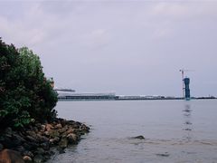 -吴淞炮台湾湿地森林公园烧烤区