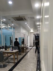 -YESIDO椰岛造型