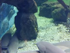 -多彩贵州城极地海洋世界